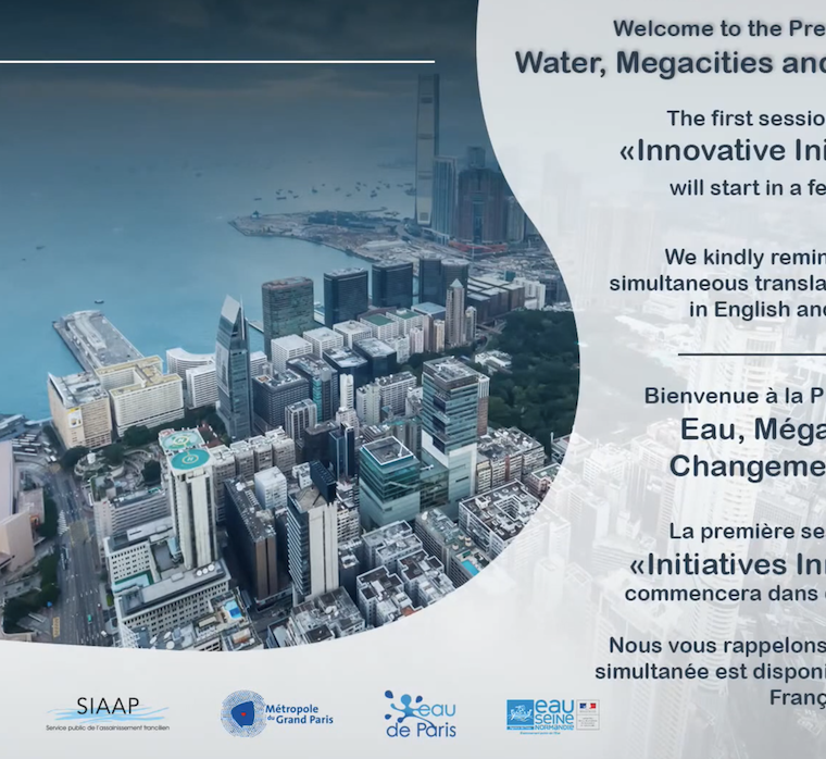 Pre-Conference "Water, Megacities and Global Change"
